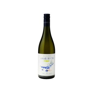Vino bianco Colli Maceratesi Ribona DOC “Madrerata” della Cantina Fattoria Nannì, bottiglia da 0,75L