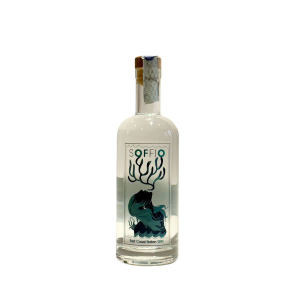 Gin marchigiano artigianale botanica chiave il paccasasso