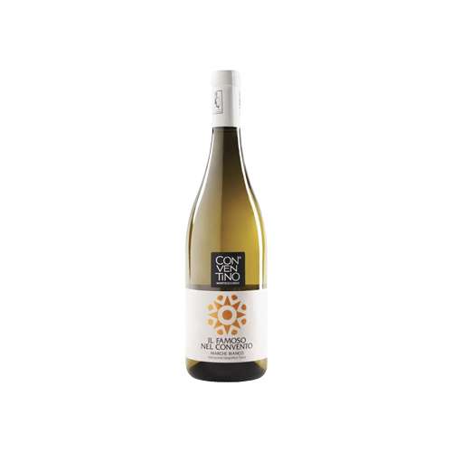Vino bianco Marche IGT “Il Famoso nel Convento” della Cantina Conventino di Monteciccardo