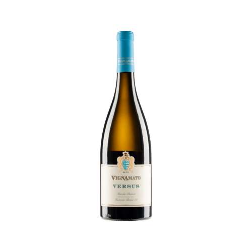 Vino bianco Marche IGT Incrocio Bruni 54 “Versus” della Cantina Vignamato