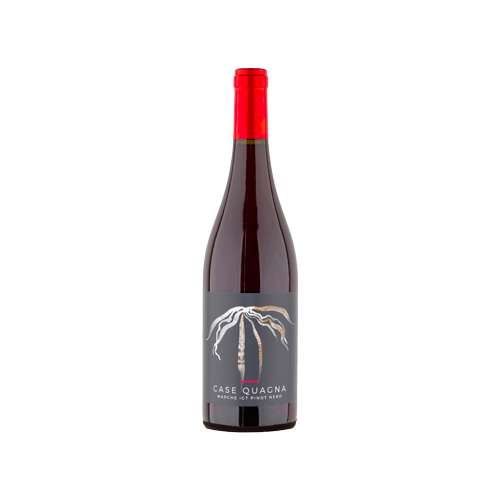 Vino rosso Marche Pinot Nero IGT “Case Quagna” della Cantina di Esanatoglia