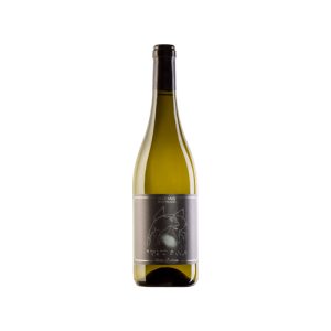 Vino bianco Marche Sauvignon IGT “Animale Celeste” della Cantina Santa Barbara
