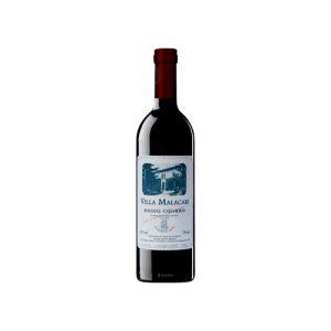 Vino bianco marchigiano Offida Pecorino DOCG “Salsedine” della Cantina Terra Fageto, bottiglia da 0,75L
