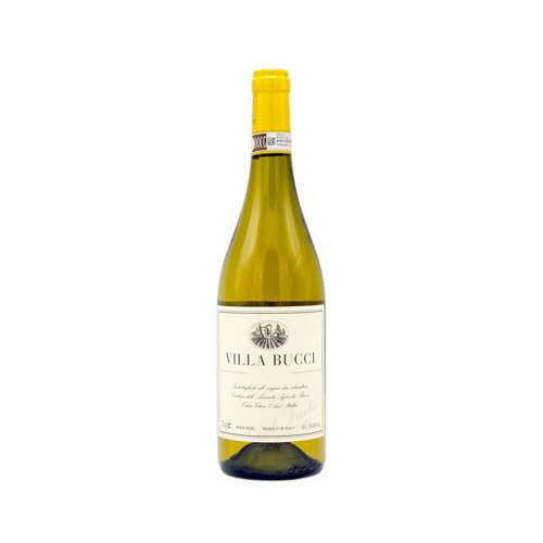 Vino bianco Verdicchio dei Castelli di Jesi Classico Superiore DOC “Bucci” della Cantina Bucci
