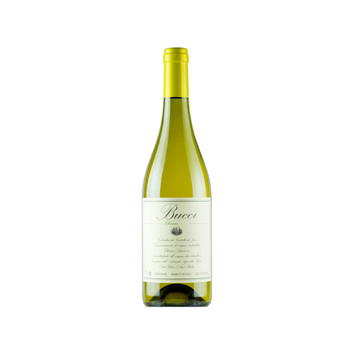 Vino bianco Verdicchio dei Castelli di Jesi Classico Superiore DOC “Bucci” della Cantina Bucci