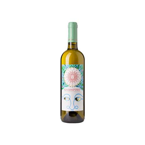 vino bianco Verdicchio dei Castelli di Jesi Classico Superiore DOC “Gaiospino” della Fattoria Coroncino