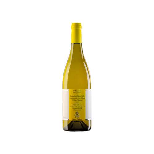 Vino bianco Verdicchio dei Castelli di Jesi Classico Superiore DOC “Stefano Antonucci” della Cantina Santa Barbara