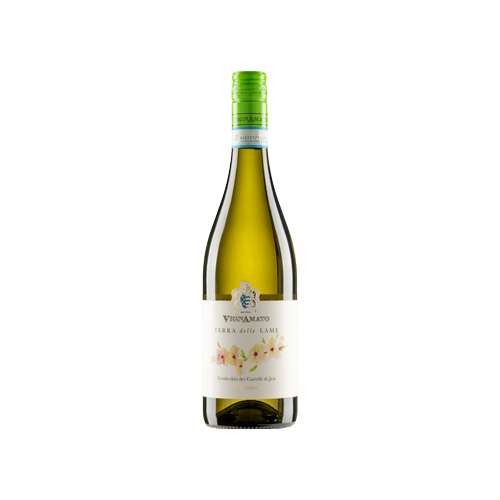 Vino bianco Verdicchio dei Castelli di Jesi Classico DOC “Terra delle Lame” della Cantina Vignamato