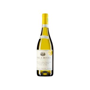 Vino bianco Verdicchio dei Castelli di Jesi Riserva DOCG “Villa Bucci” della Cantina Bucci