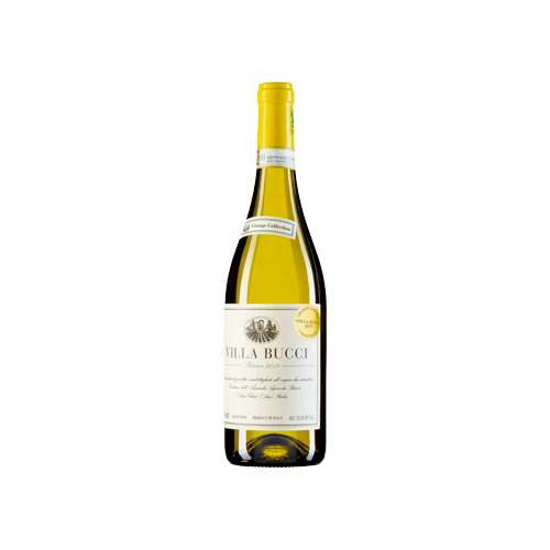Vino bianco Verdicchio dei Castelli di Jesi Riserva DOCG “Villa Bucci” della Cantina Bucci